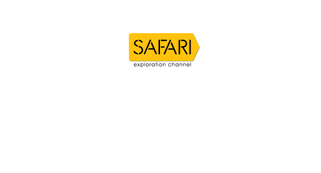 Safari